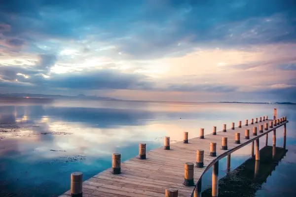 诉讼调解的法律效力是什么