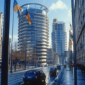 特别行政区维护什么法律