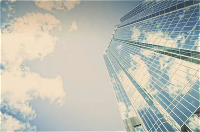 法律亦有时而穷什么意思